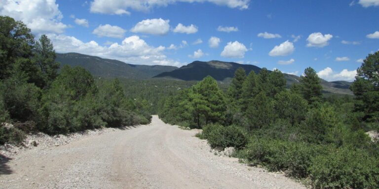 Dirt Roads and Rollovers